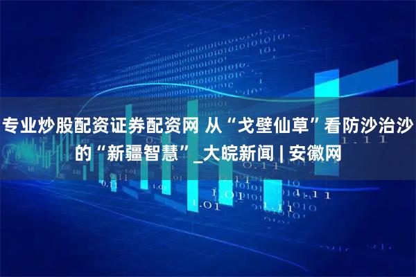 专业炒股配资证券配资网 从“戈壁仙草”看防沙治沙的“新疆智慧”_大皖新闻 | 安徽网